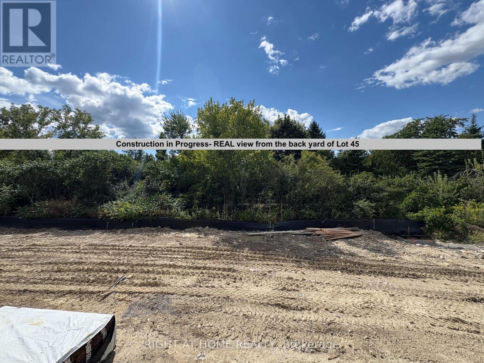 79 Watts Drive, Kawartha Lakes (Lindsay), Ontario  K9V 5V4 - Photo 10 - X12553440