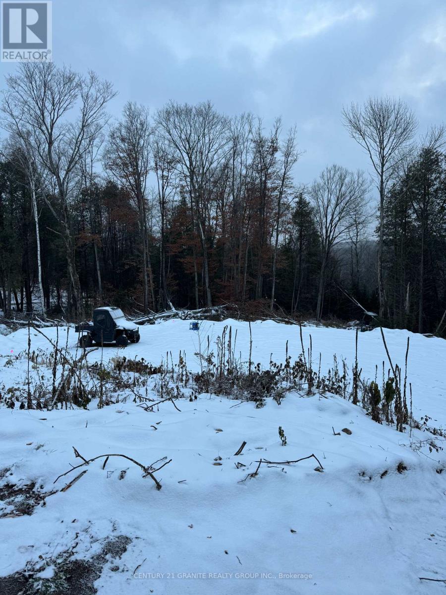 1827 Hybla Road, Hastings Highlands (Monteagle Ward), Ontario  K0L 1C0 - Photo 11 - X12554534