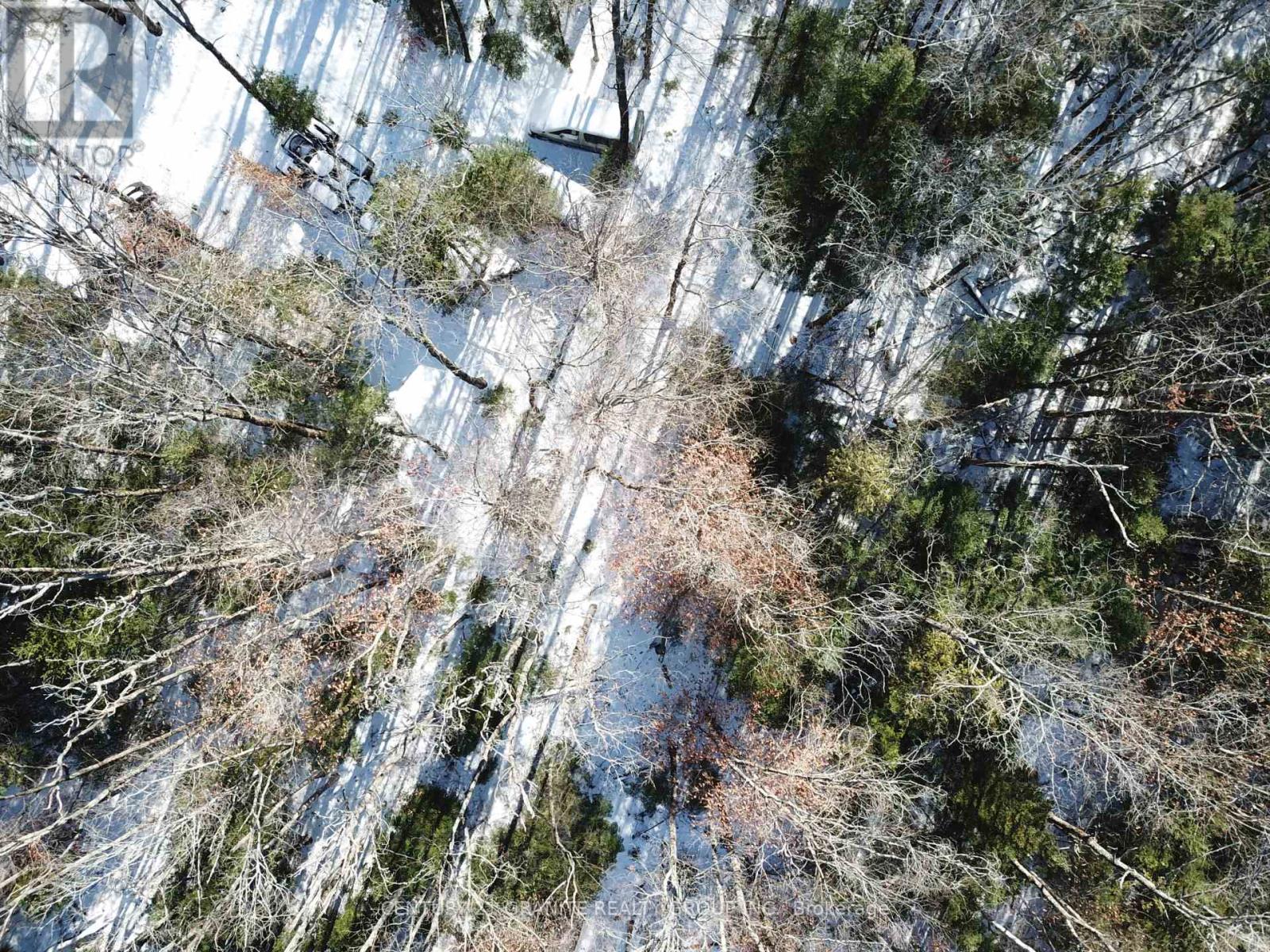 1827 Hybla Road, Hastings Highlands (Monteagle Ward), Ontario  K0L 1C0 - Photo 17 - X12554534