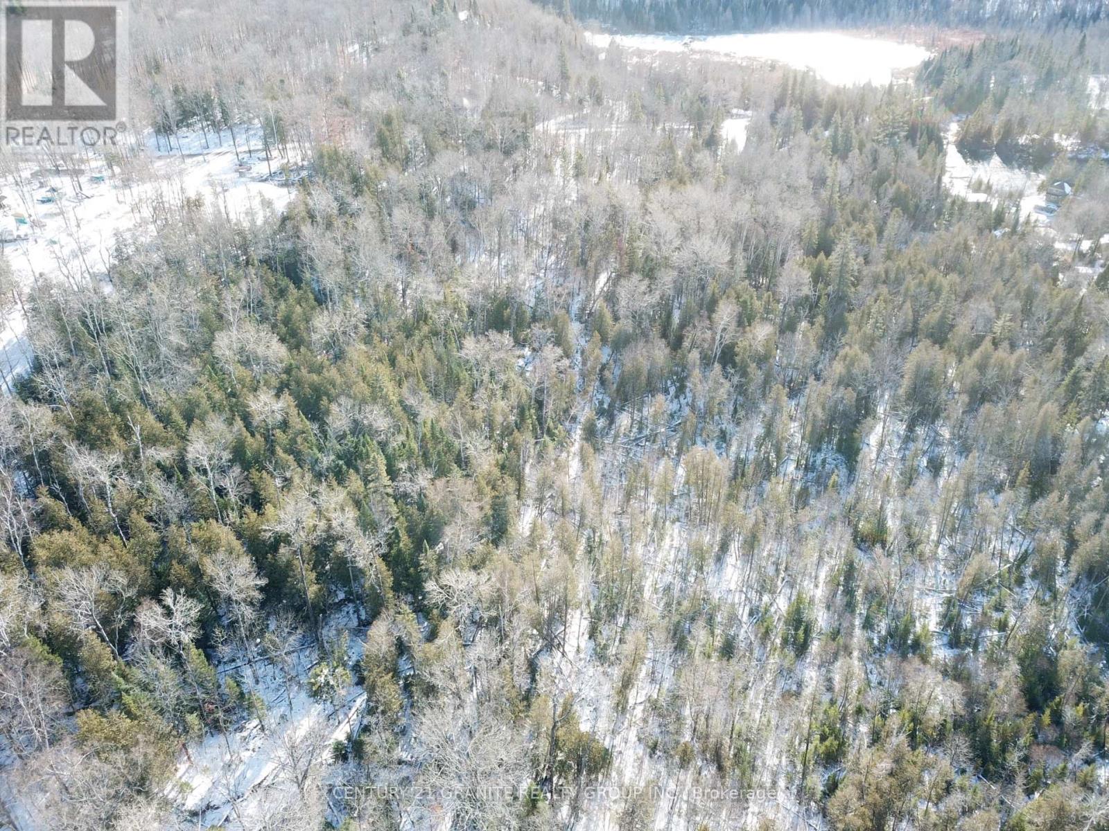 1827 Hybla Road, Hastings Highlands (Monteagle Ward), Ontario  K0L 1C0 - Photo 20 - X12554534