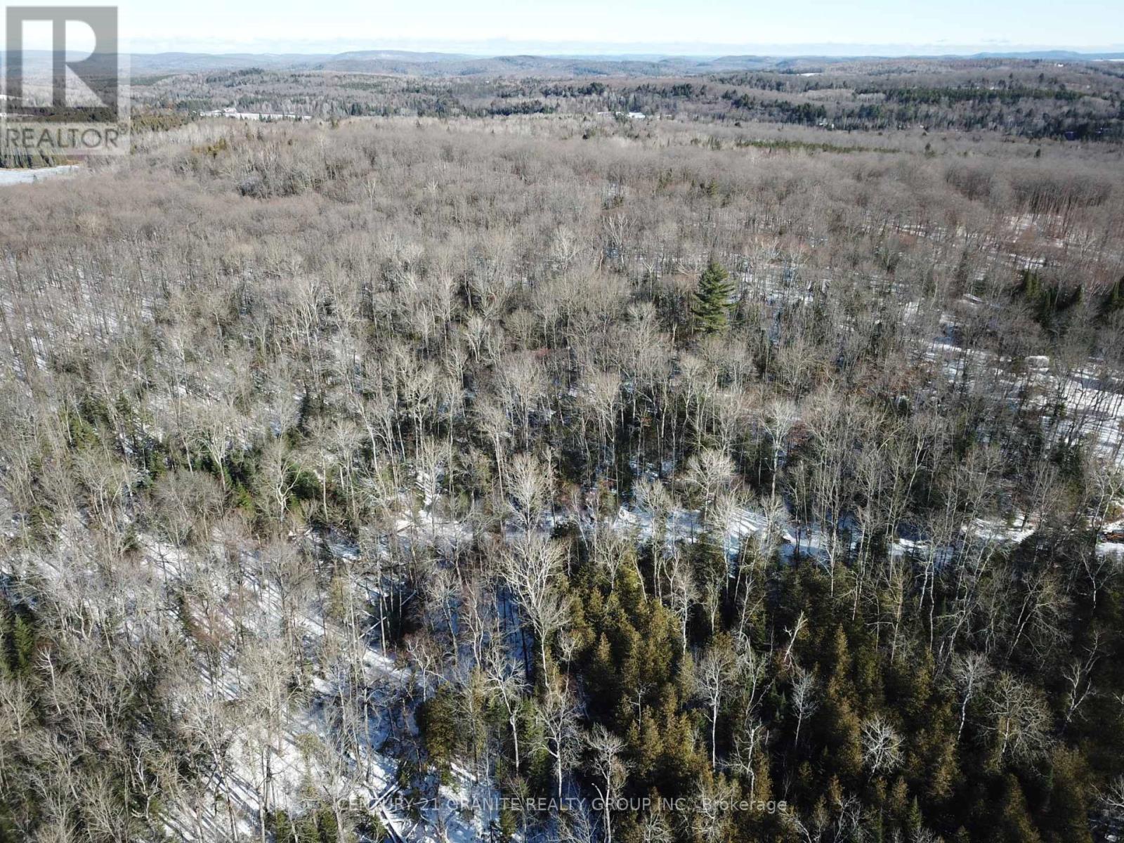 1827 Hybla Road, Hastings Highlands (Monteagle Ward), Ontario  K0L 1C0 - Photo 22 - X12554534