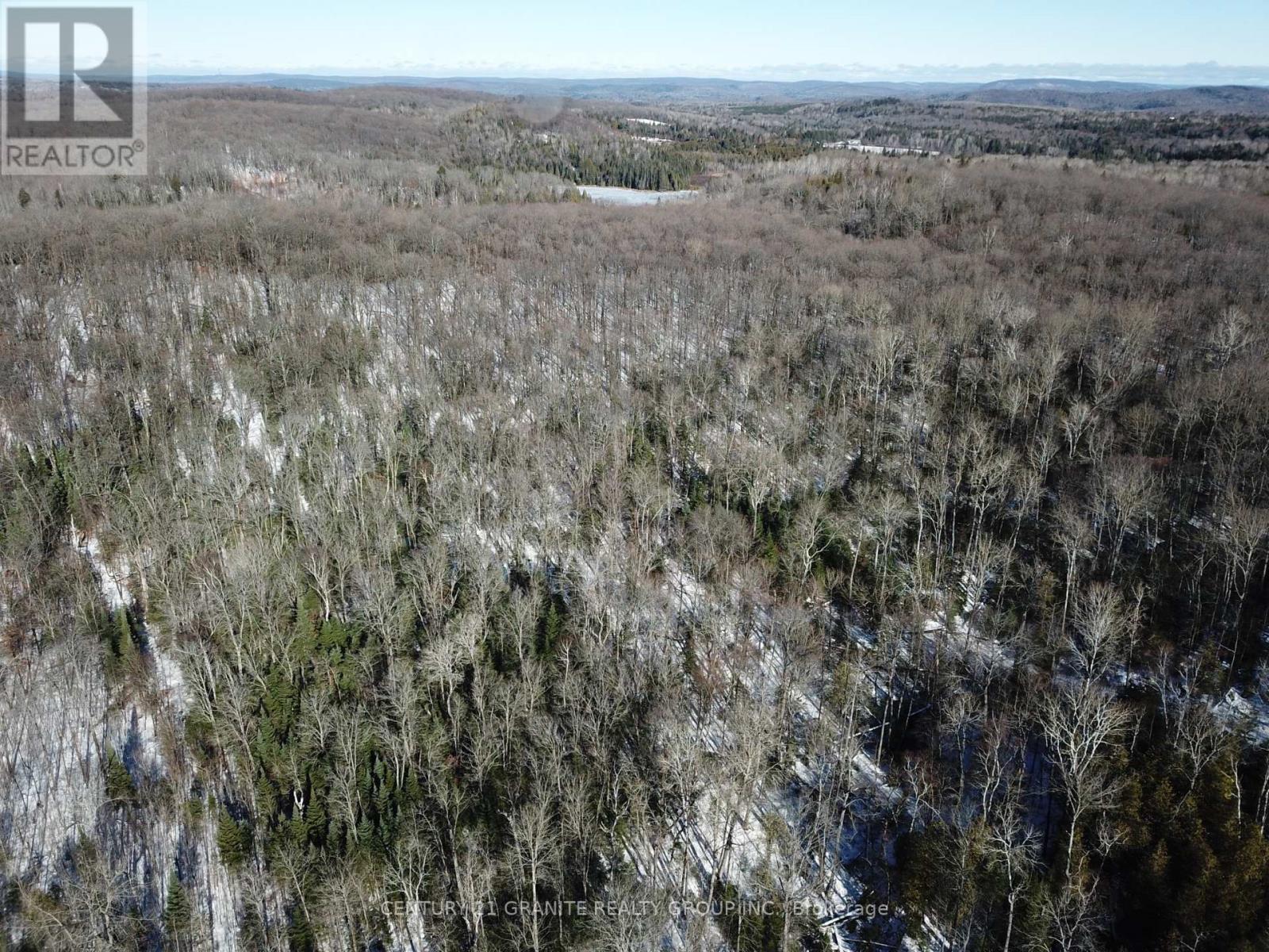 1827 Hybla Road, Hastings Highlands (Monteagle Ward), Ontario  K0L 1C0 - Photo 23 - X12554534