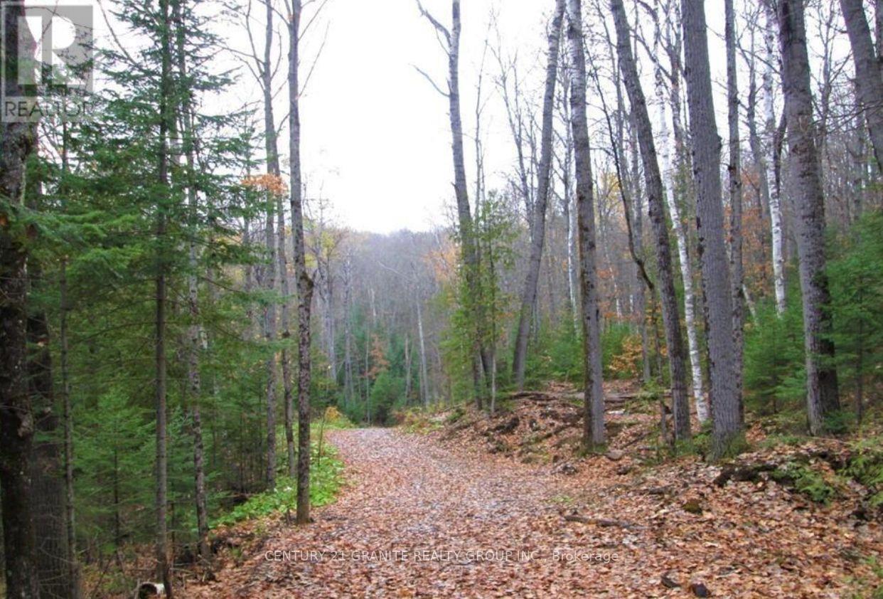 1827 Hybla Road, Hastings Highlands (Monteagle Ward), Ontario  K0L 1C0 - Photo 5 - X12554534