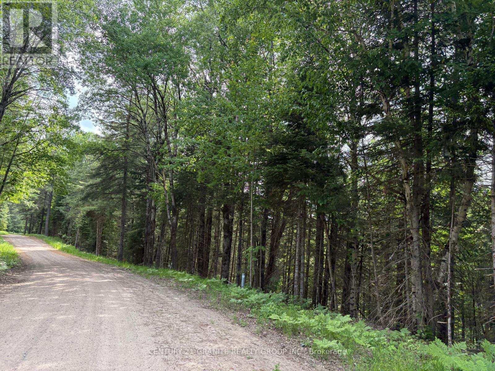 0 Thibadeau Road, Bancroft (Dungannon Ward), Ontario  K0L 1C0 - Photo 3 - X12555320