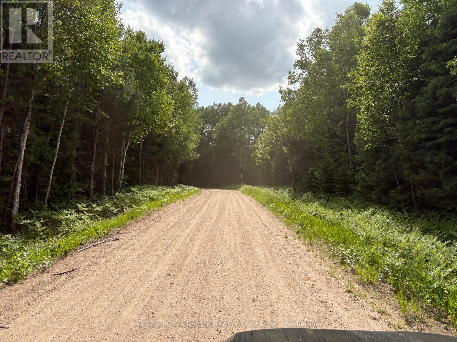 0 Thibadeau Road, Bancroft (Dungannon Ward), Ontario  K0L 1C0 - Photo 4 - X12555320