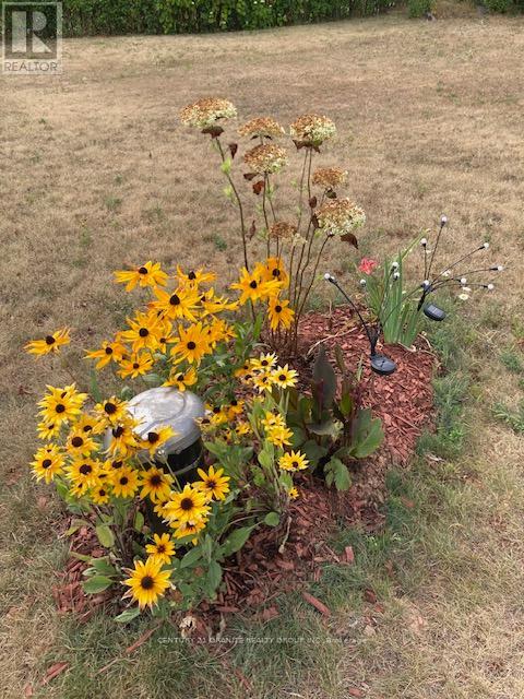 114 Paudash Lake Road, Faraday, Ontario  K0L 1C0 - Photo 45 - X12556194