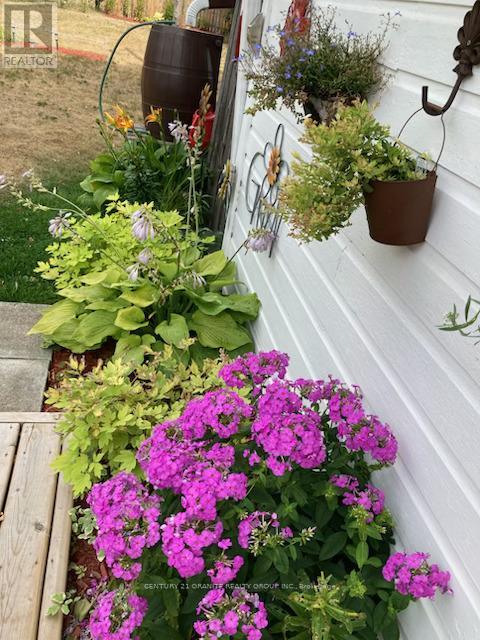 114 Paudash Lake Road, Faraday, Ontario  K0L 1C0 - Photo 46 - X12556194