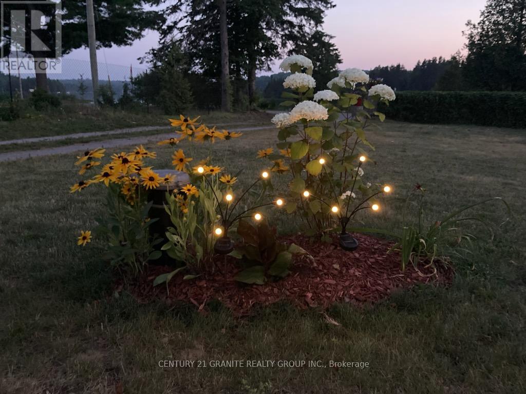 114 Paudash Lake Road, Faraday, Ontario  K0L 1C0 - Photo 48 - X12556194