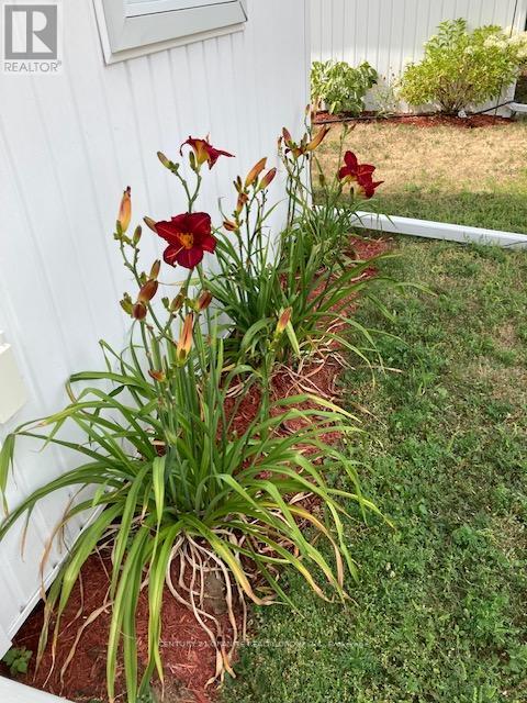 114 Paudash Lake Road, Faraday, Ontario  K0L 1C0 - Photo 50 - X12556194