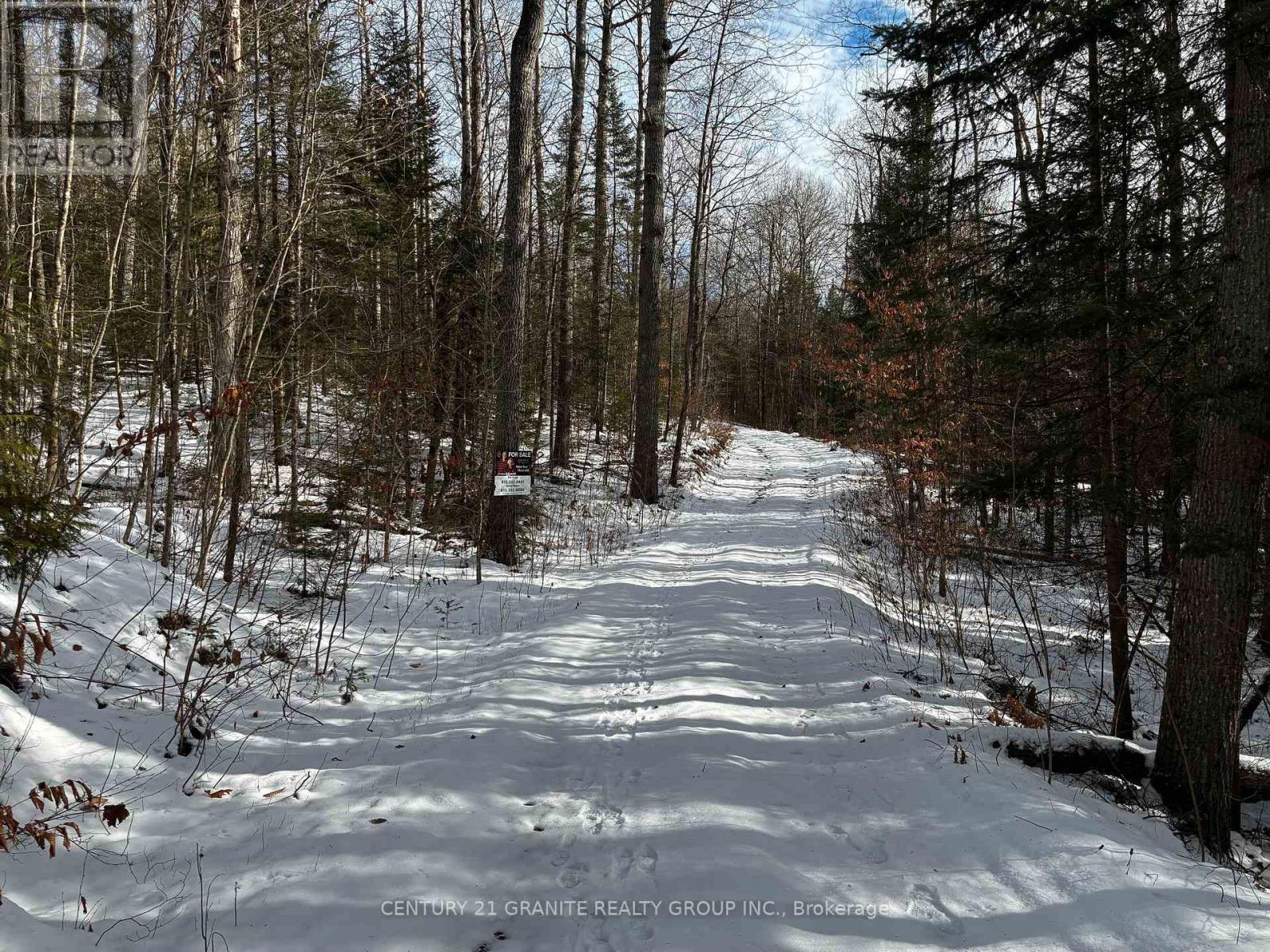 Pt Lot 25 Con 2, Hastings Highlands (Wicklow Ward), Ontario  K0L 1C0 - Photo 15 - X12558300