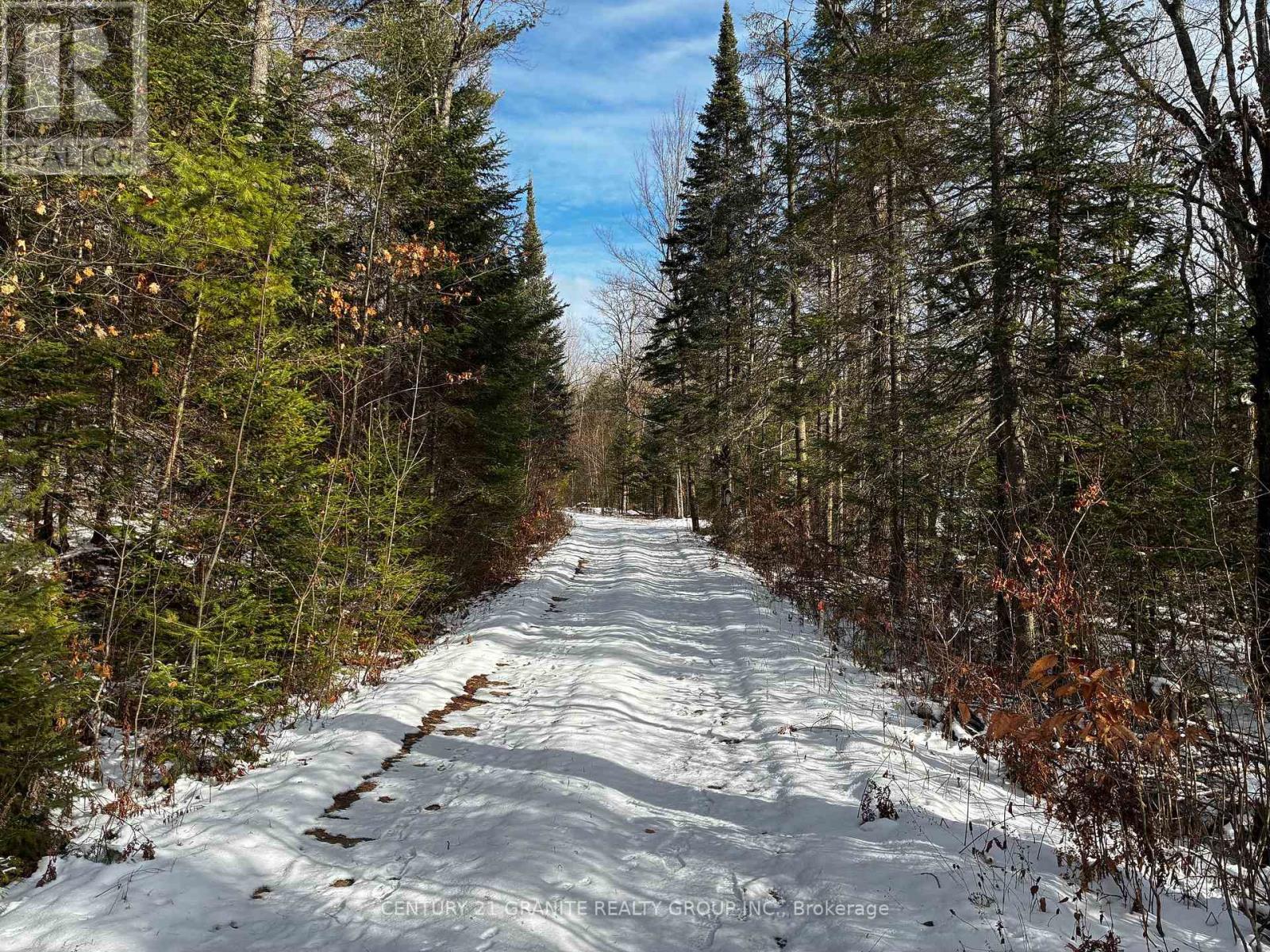 Pt Lot 25 Con 2, Hastings Highlands (Wicklow Ward), Ontario  K0L 1C0 - Photo 16 - X12558300