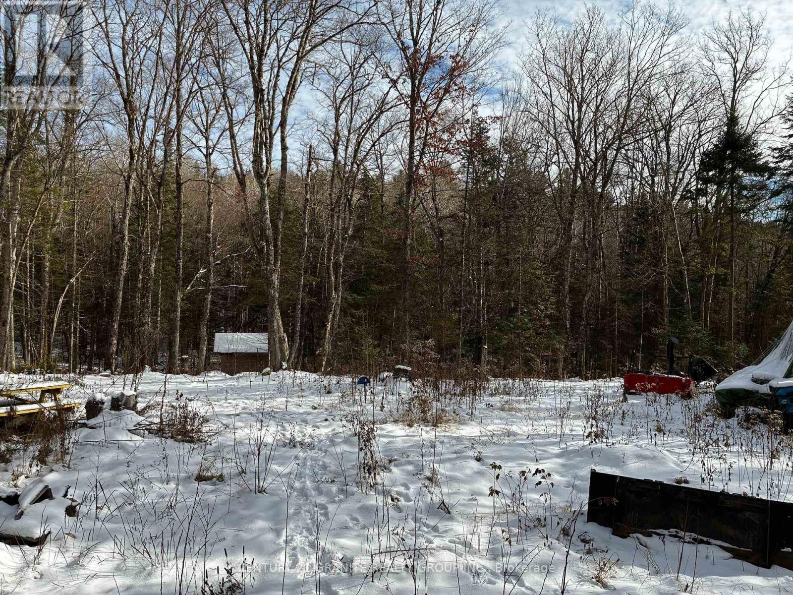 Pt Lot 25 Con 2, Hastings Highlands (Wicklow Ward), Ontario  K0L 1C0 - Photo 17 - X12558300