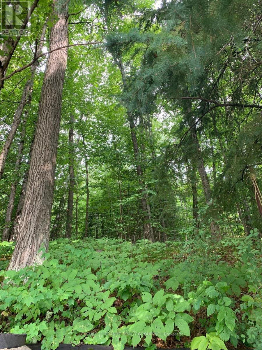 198 Gaebel Road, Bancroft (Bancroft Ward), Ontario  K0L 1C0 - Photo 3 - X12559612