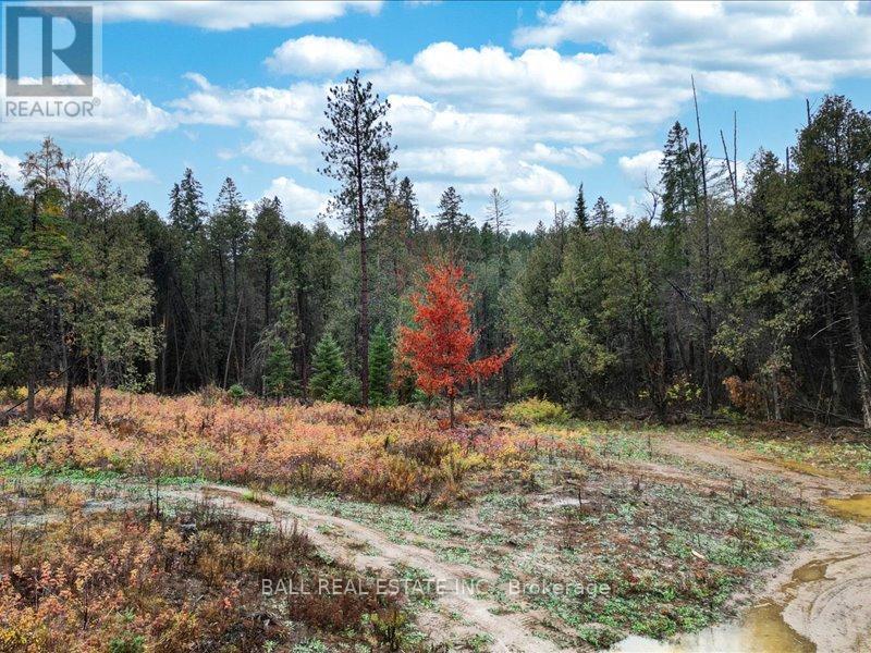 514 St. Ola Road, Limerick, Ontario  K0L 1W0 - Photo 36 - X12560132