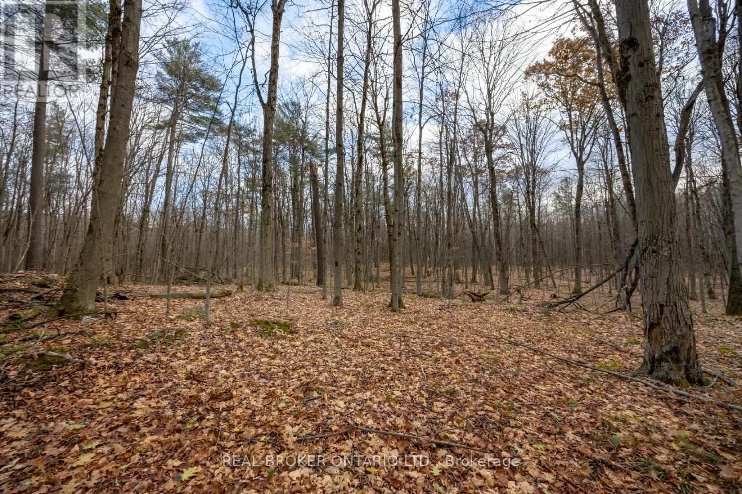 398 Sandy Hook Road, Kawartha Lakes (Manvers), Ontario  L0A 1K0 - Photo 45 - X12563490