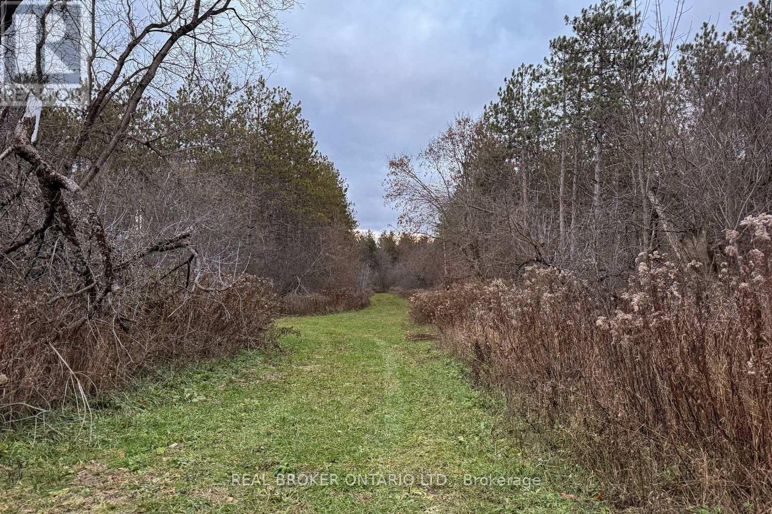 398 Sandy Hook Road, Kawartha Lakes (Manvers), Ontario  L0A 1K0 - Photo 47 - X12563490