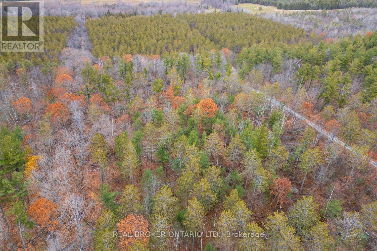 398 Sandy Hook Road, Kawartha Lakes (Manvers), Ontario  L0A 1K0 - Photo 48 - X12563490