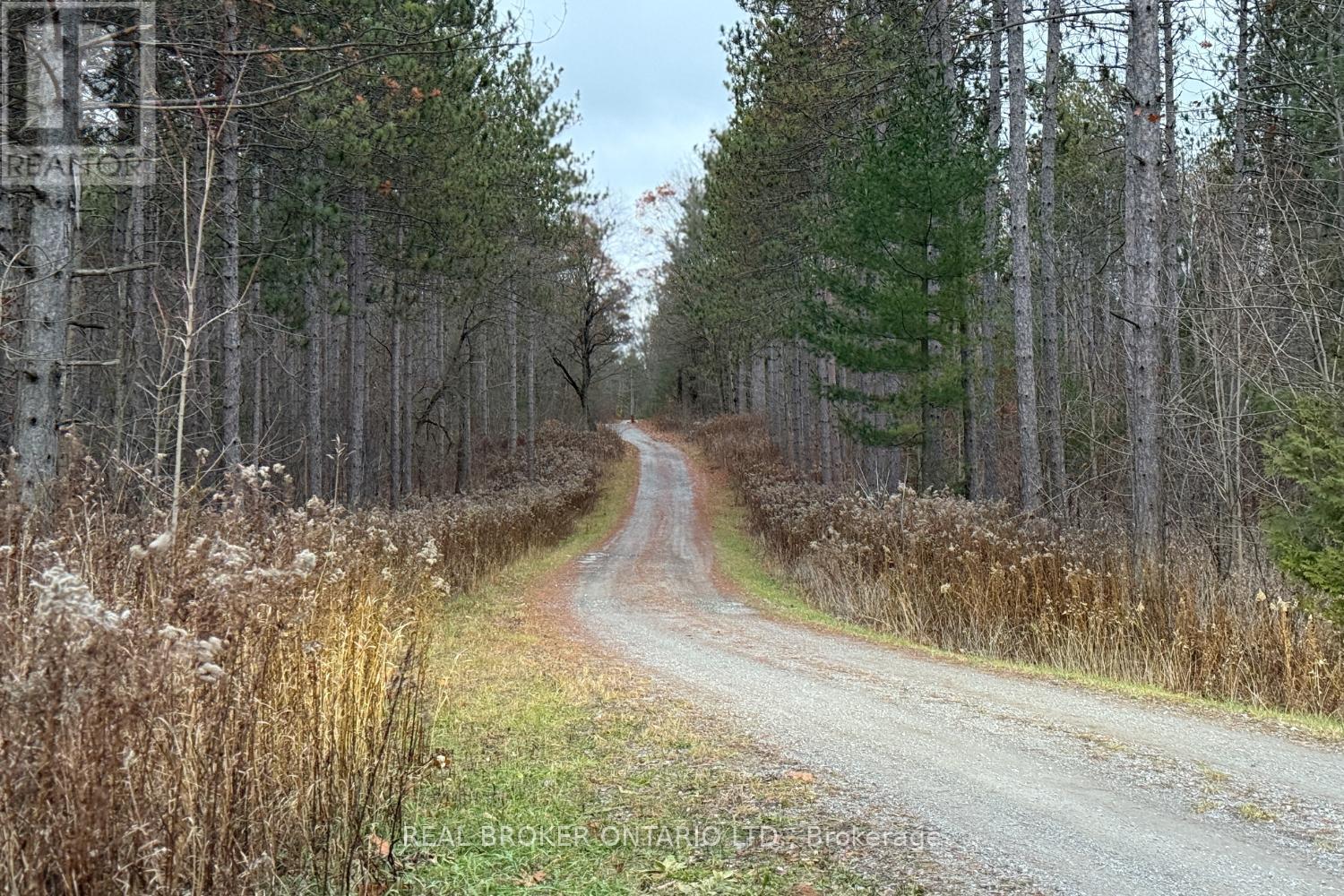 398 Sandy Hook Road, Kawartha Lakes (Manvers), Ontario  L0A 1K0 - Photo 8 - X12563490