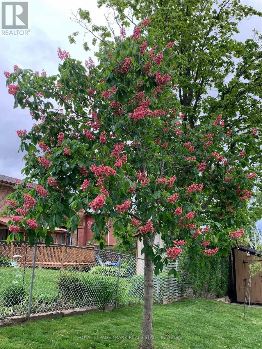 38 Clearview Court, Peterborough (Monaghan Ward 2), Ontario  K9K 2A3 - Photo 43 - X12563512