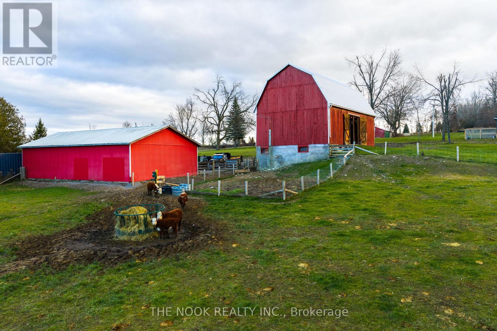 2132 County 10 Road, Cavan Monaghan (Cavan Twp), Ontario  L0A 1C0 - Photo 7 - X12564276