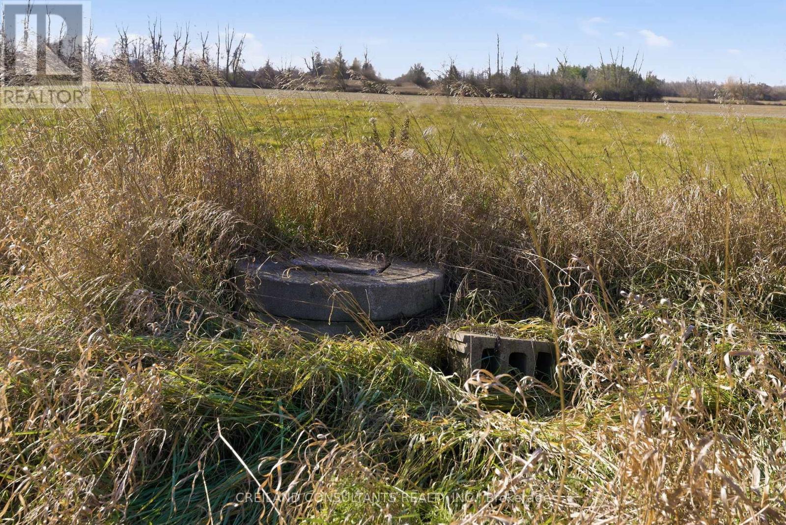 2133 Little Britain Road, Kawartha Lakes (Ops), Ontario  K9V 4R2 - Photo 9 - X12564026