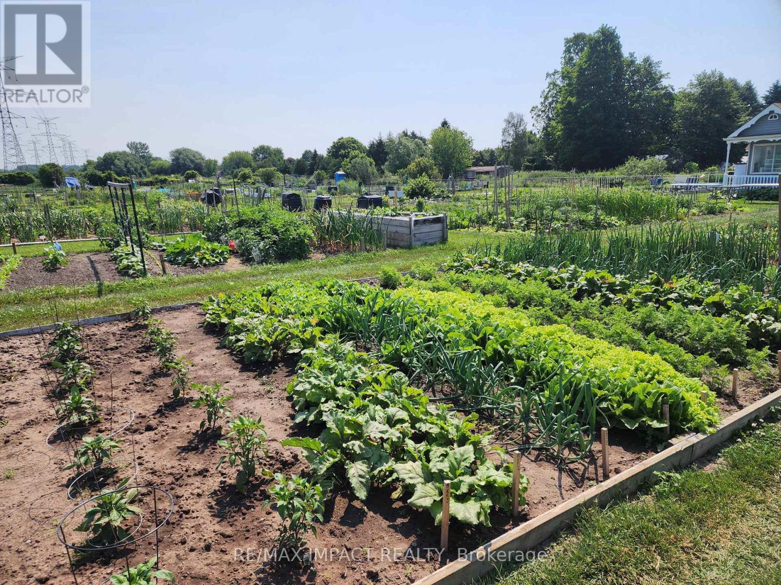 4 Champlain Court, Clarington (Newcastle), Ontario  L1B 1A5 - Photo 41 - E12564514