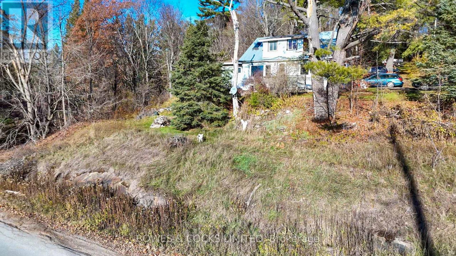 180 County Road 504, North Kawartha, Ontario  K0L 1A0 - Photo 11 - X12571962