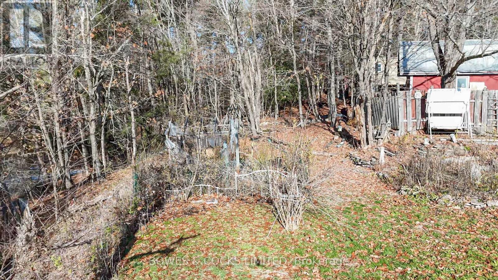 180 County Road 504, North Kawartha, Ontario  K0L 1A0 - Photo 8 - X12571962