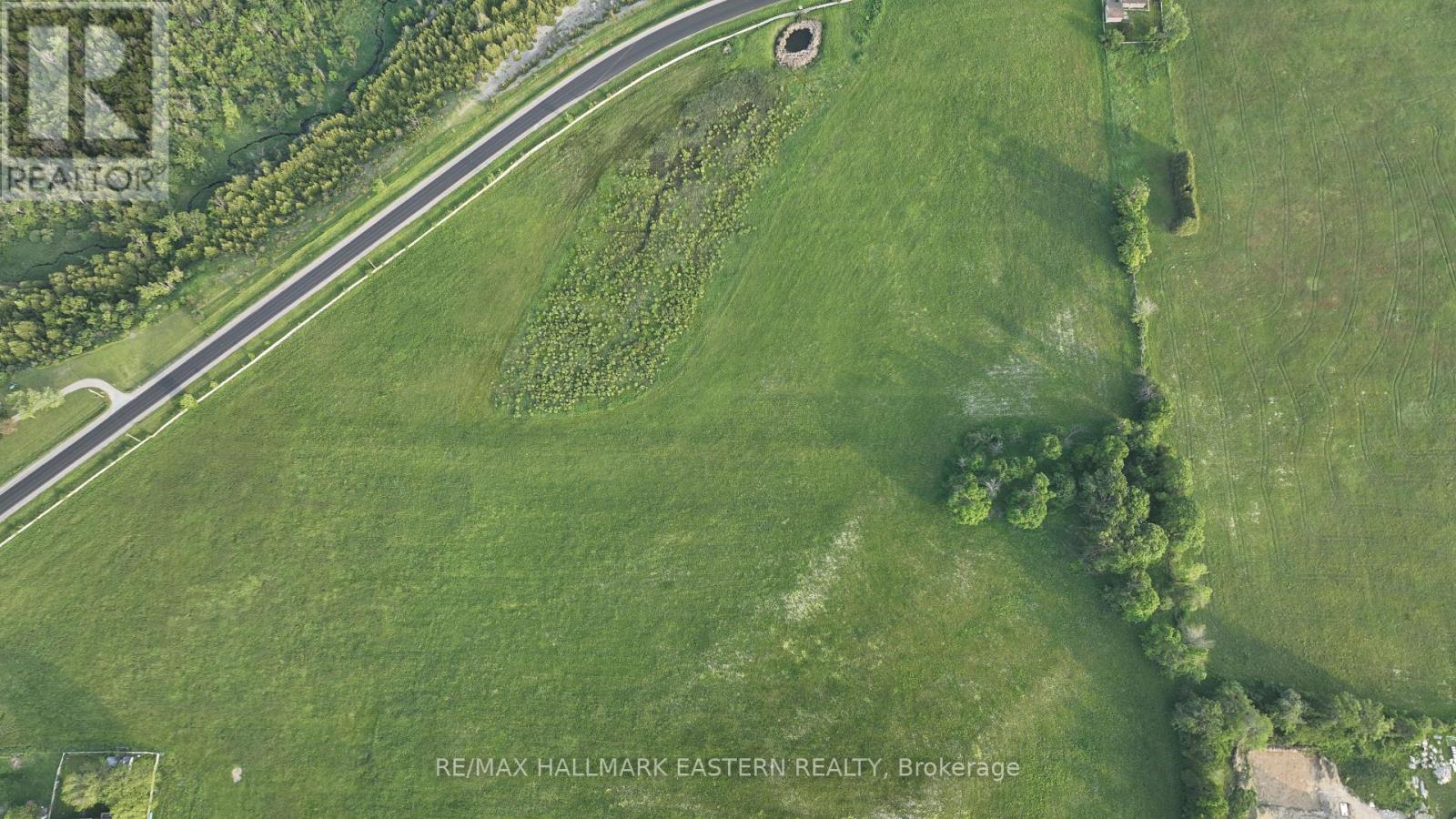 1420 Nassau Road, Douro-Dummer, Ontario  K9J 6Y1 - Photo 4 - X12572264