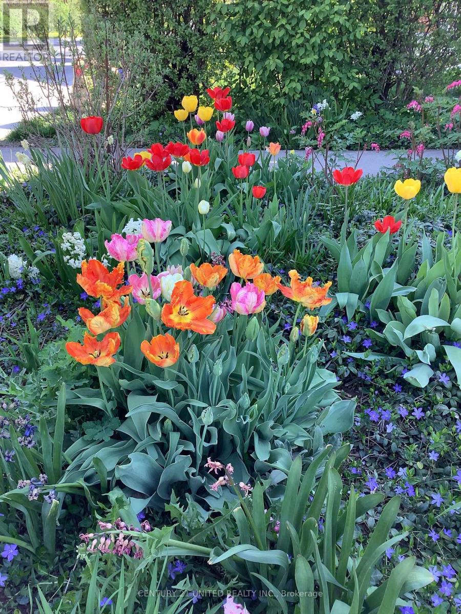 458 Driscoll Terrace, Peterborough (Ashburnham Ward 4), Ontario  K9H 1T7 - Photo 39 - X12574368