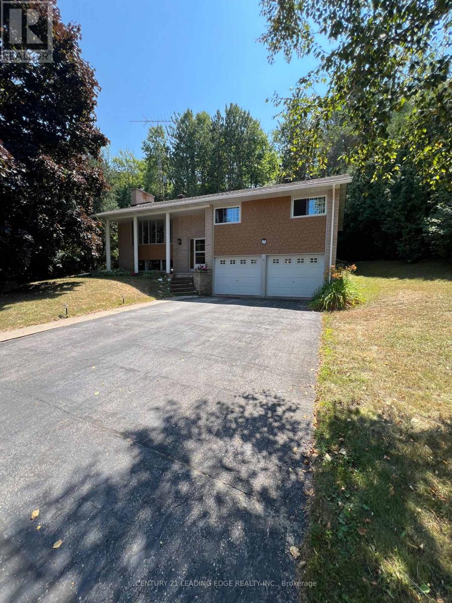 19 Forest Hill Road, Bancroft (Bancroft Ward), Ontario  K0L 1C0 - Photo 2 - X12575202