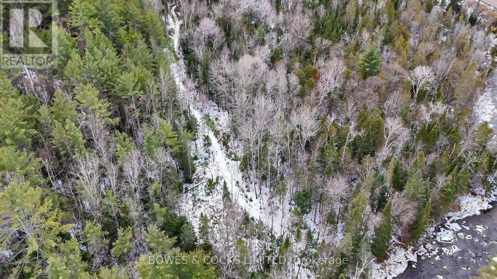 0 Park Road, Hastings Highlands (Wicklow Ward), Ontario  K0L 2R0 - Photo 14 - X12575834