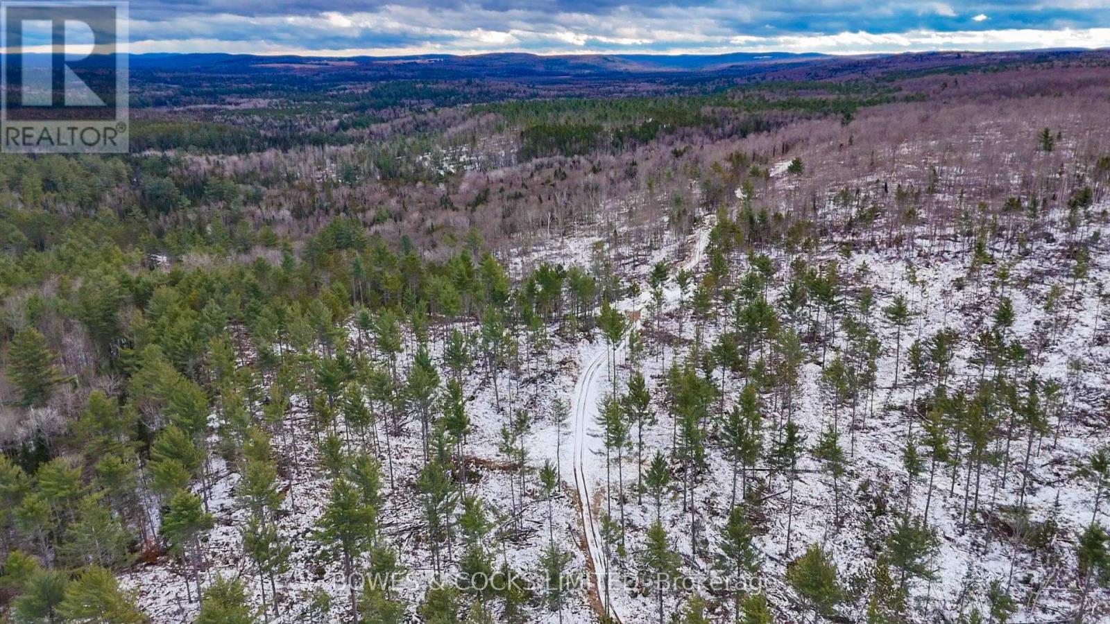 0 Park Road, Hastings Highlands (Wicklow Ward), Ontario  K0L 2R0 - Photo 15 - X12575834