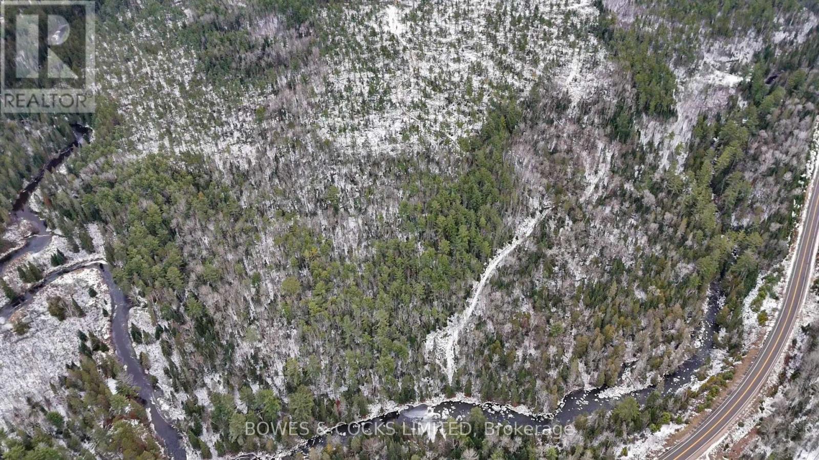 0 Park Road, Hastings Highlands (Wicklow Ward), Ontario  K0L 2R0 - Photo 5 - X12575834