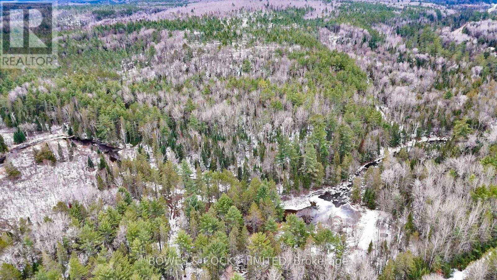 0 Park Road, Hastings Highlands (Wicklow Ward), Ontario  K0L 2R0 - Photo 8 - X12575834