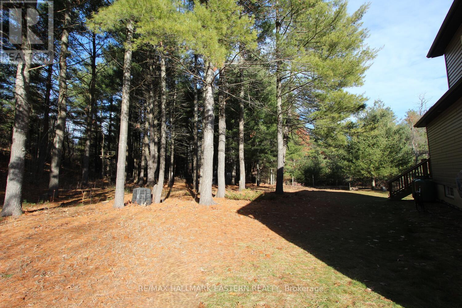 20 Blairton Tent & Trailer Park Road, Havelock-Belmont-Methuen, Ontario  K0L 1Z0 - Photo 31 - X12579272