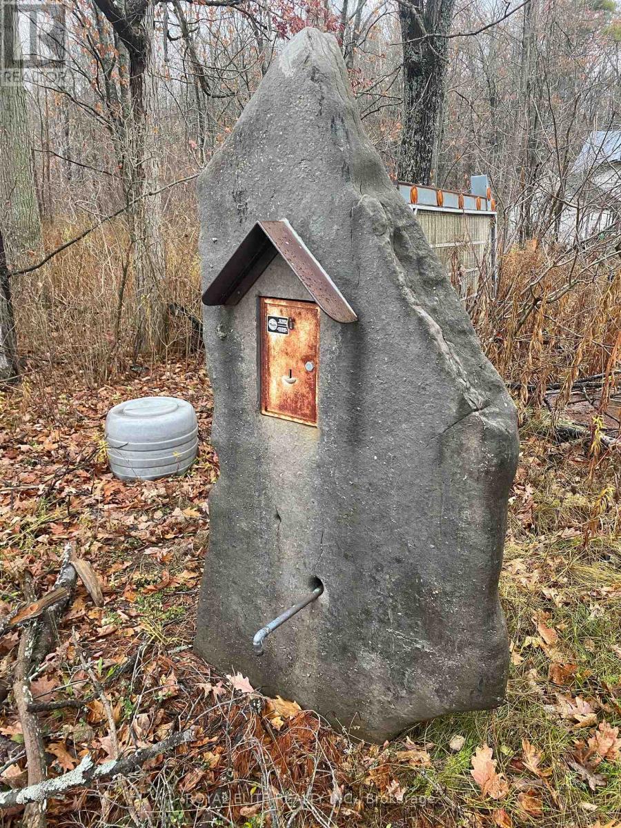 16 Buckhorn Trail, Trent Lakes, Ontario  K0L 1J0 - Photo 4 - X12580730