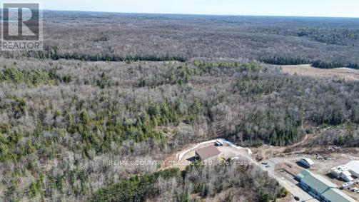 29556 B Highway 28 S, Faraday, Ontario  K0L 1C0 - Photo 16 - X12581058