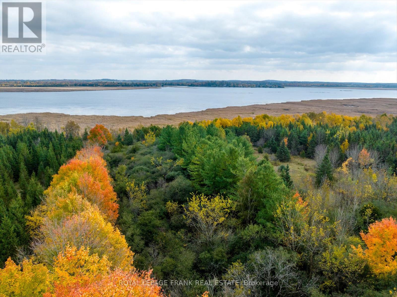 1916 Pigeon Lake Road, Kawartha Lakes (Emily), Ontario  K9V 4R5 - Photo 26 - X12583108