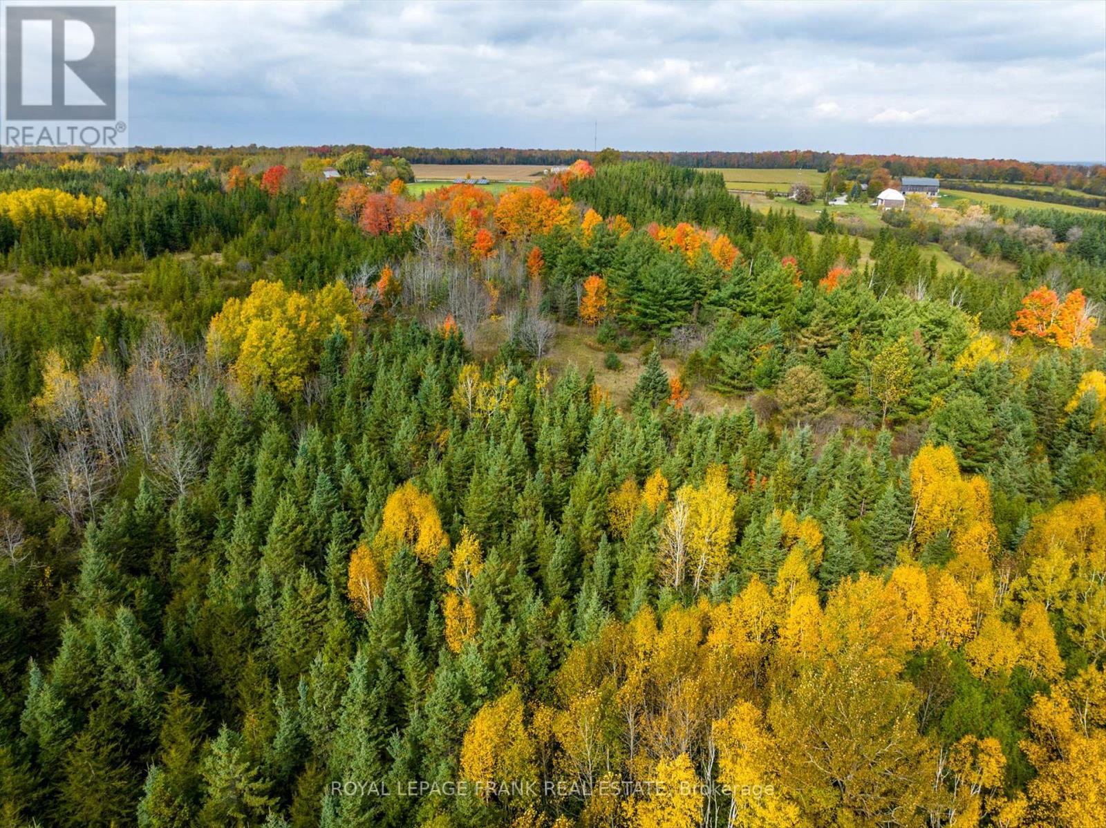 1916 Pigeon Lake Road, Kawartha Lakes (Emily), Ontario  K9V 4R5 - Photo 28 - X12583108