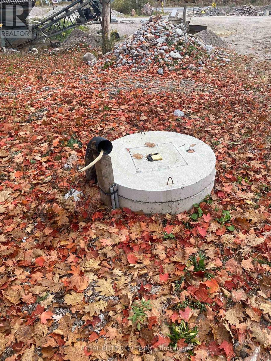 2961 County Road 36, Trent Lakes, Ontario  K0L 1J0 - Photo 6 - X12583938