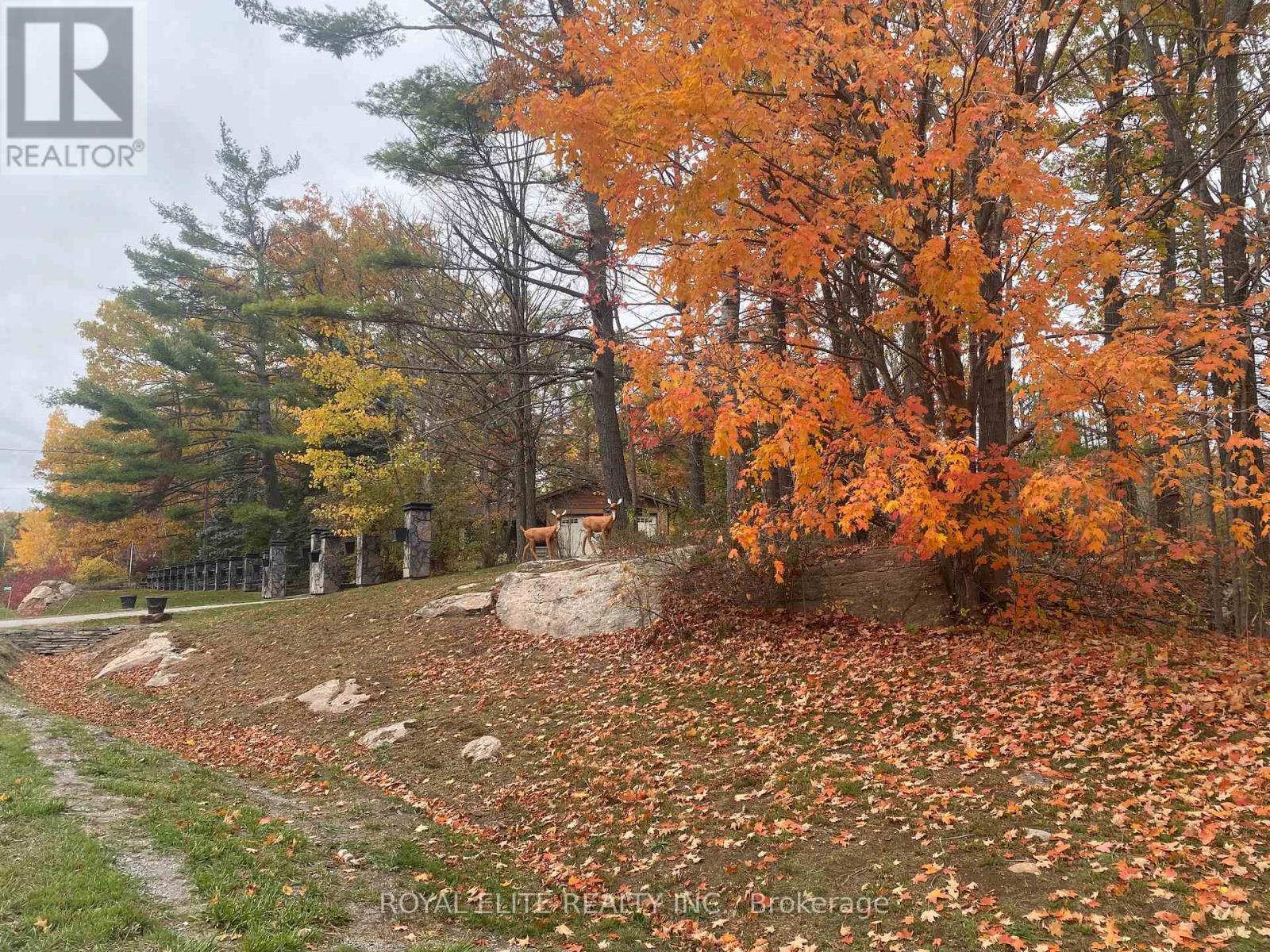 2943 County Rd 36, Trent Lakes, Ontario  K0L 1J0 - Photo 1 - X12583994