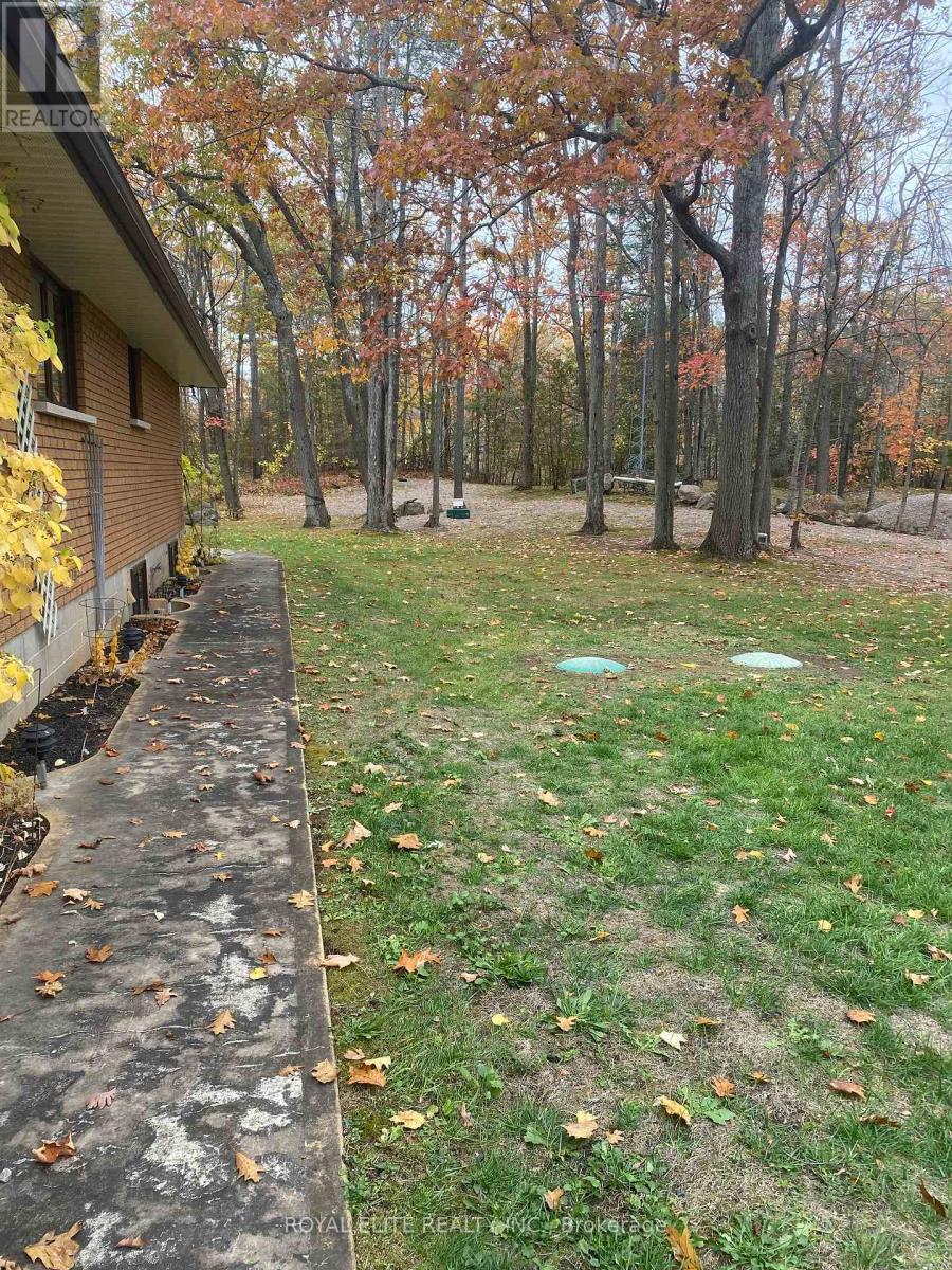 2943 County Rd 36, Trent Lakes, Ontario  K0L 1J0 - Photo 26 - X12583994