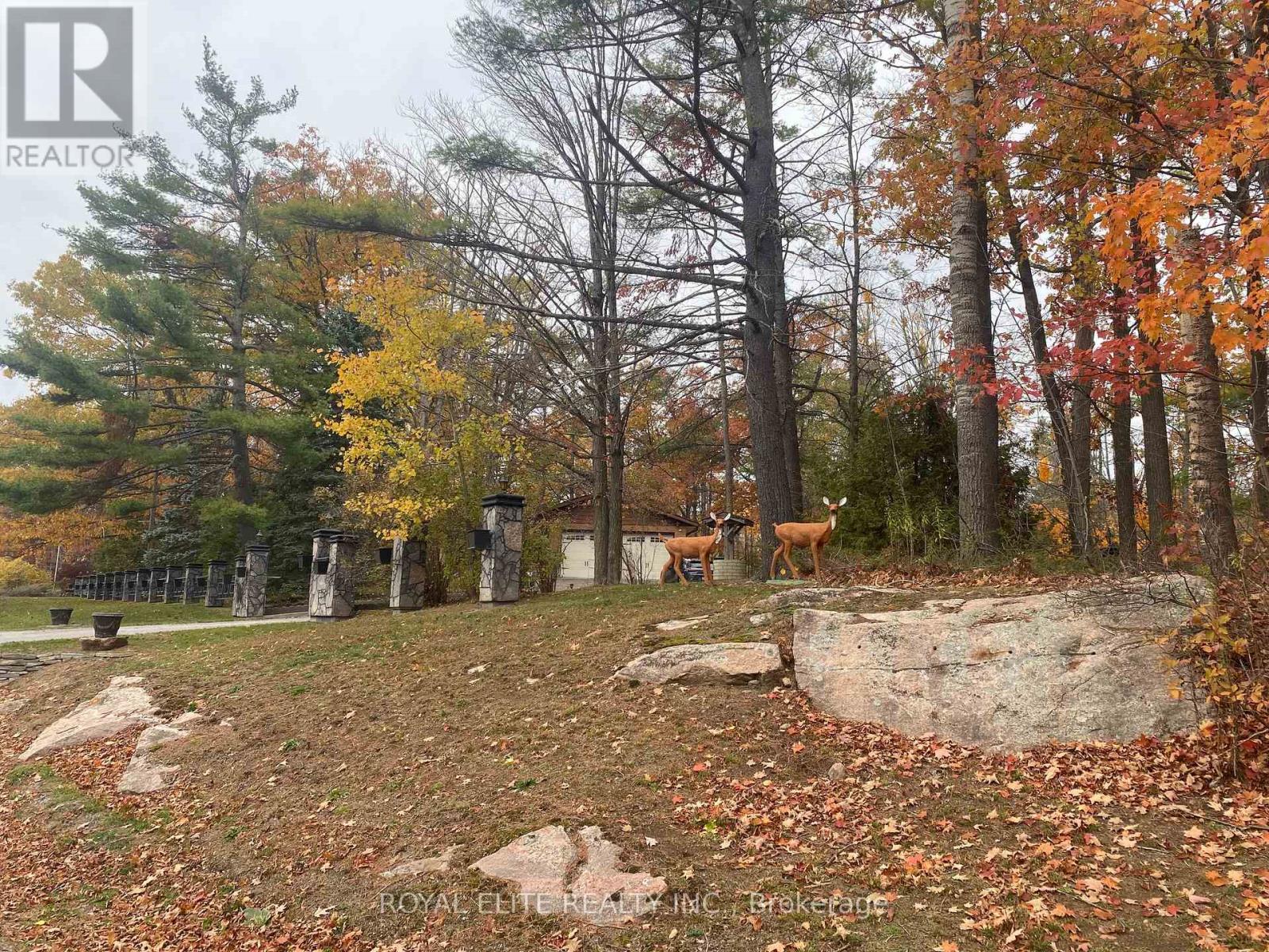 2943 County Rd 36, Trent Lakes, Ontario  K0L 1J0 - Photo 3 - X12583994