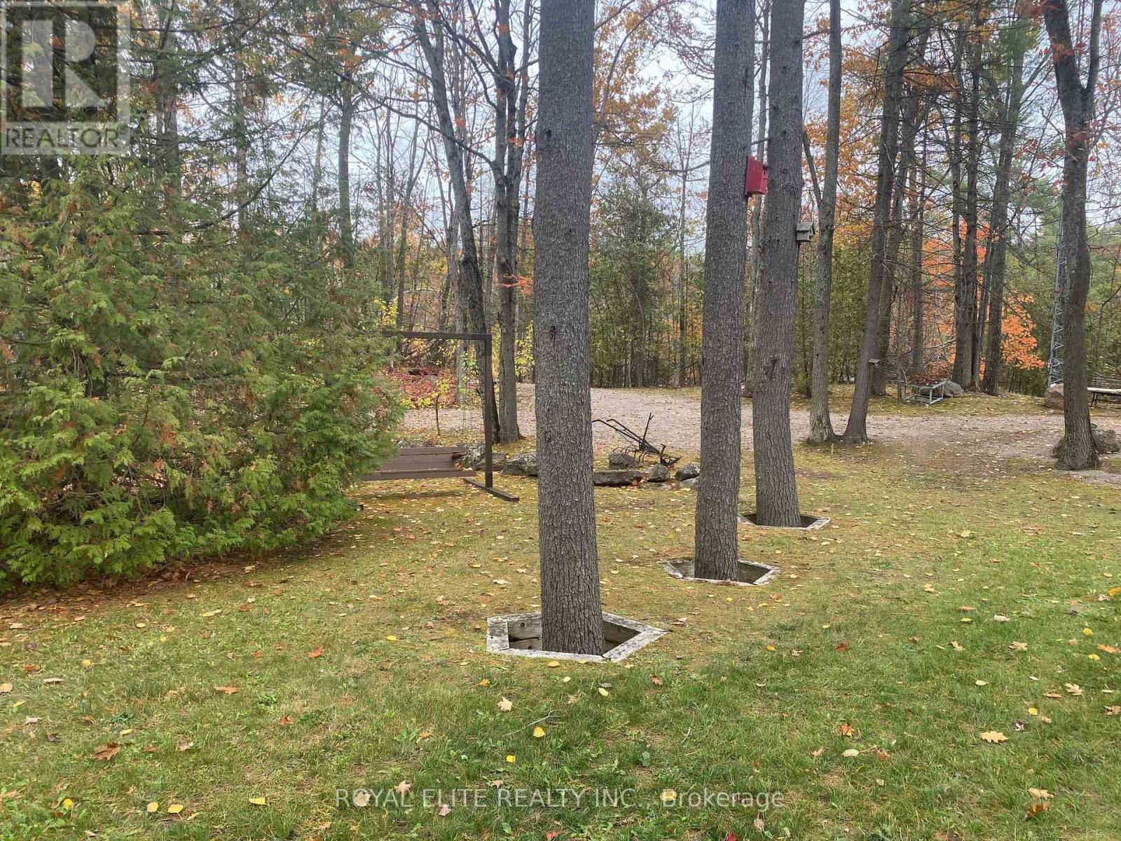 2943 County Rd 36, Trent Lakes, Ontario  K0L 1J0 - Photo 31 - X12583994