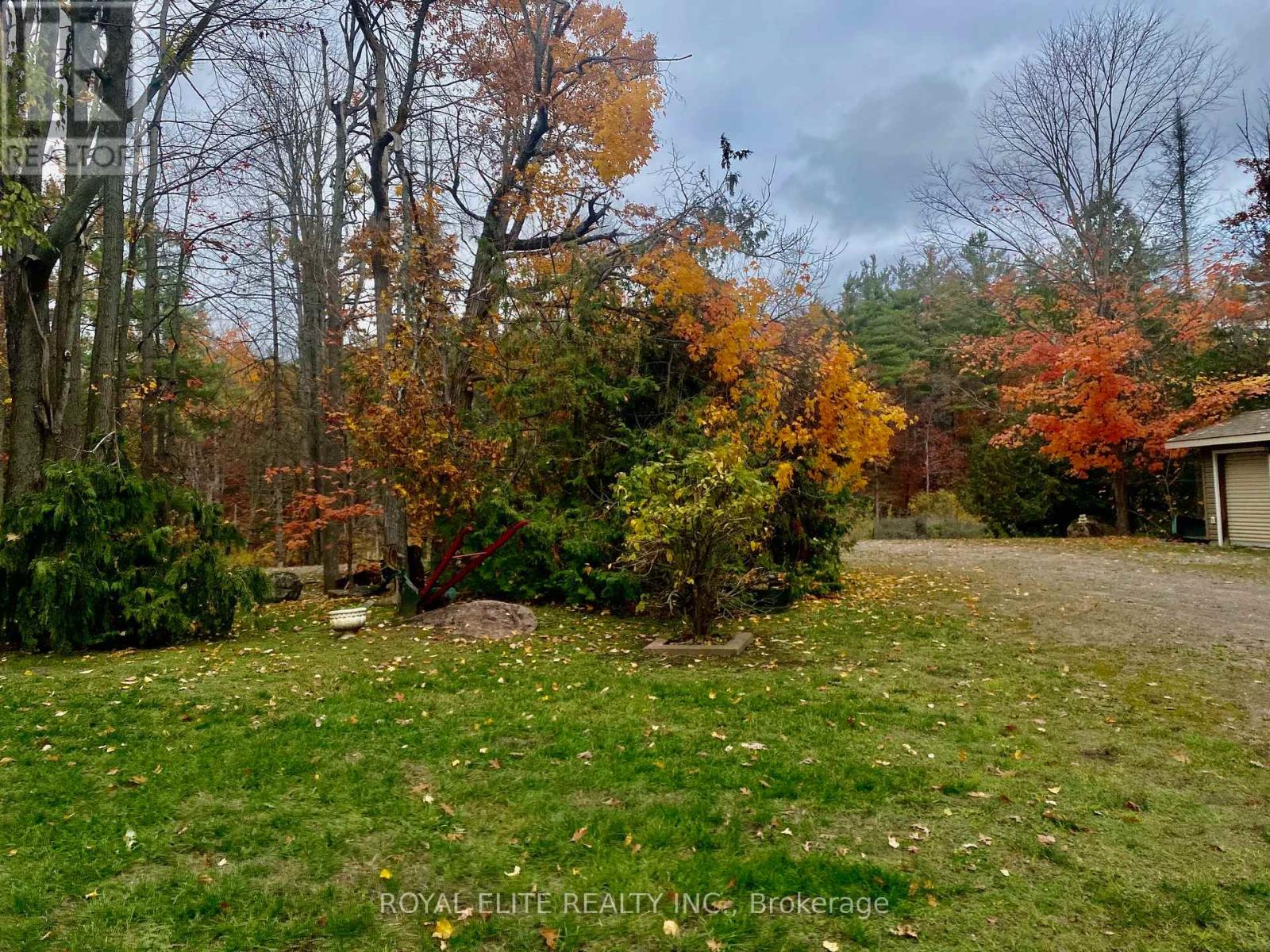 2943 County Rd 36, Trent Lakes, Ontario  K0L 1J0 - Photo 36 - X12583994