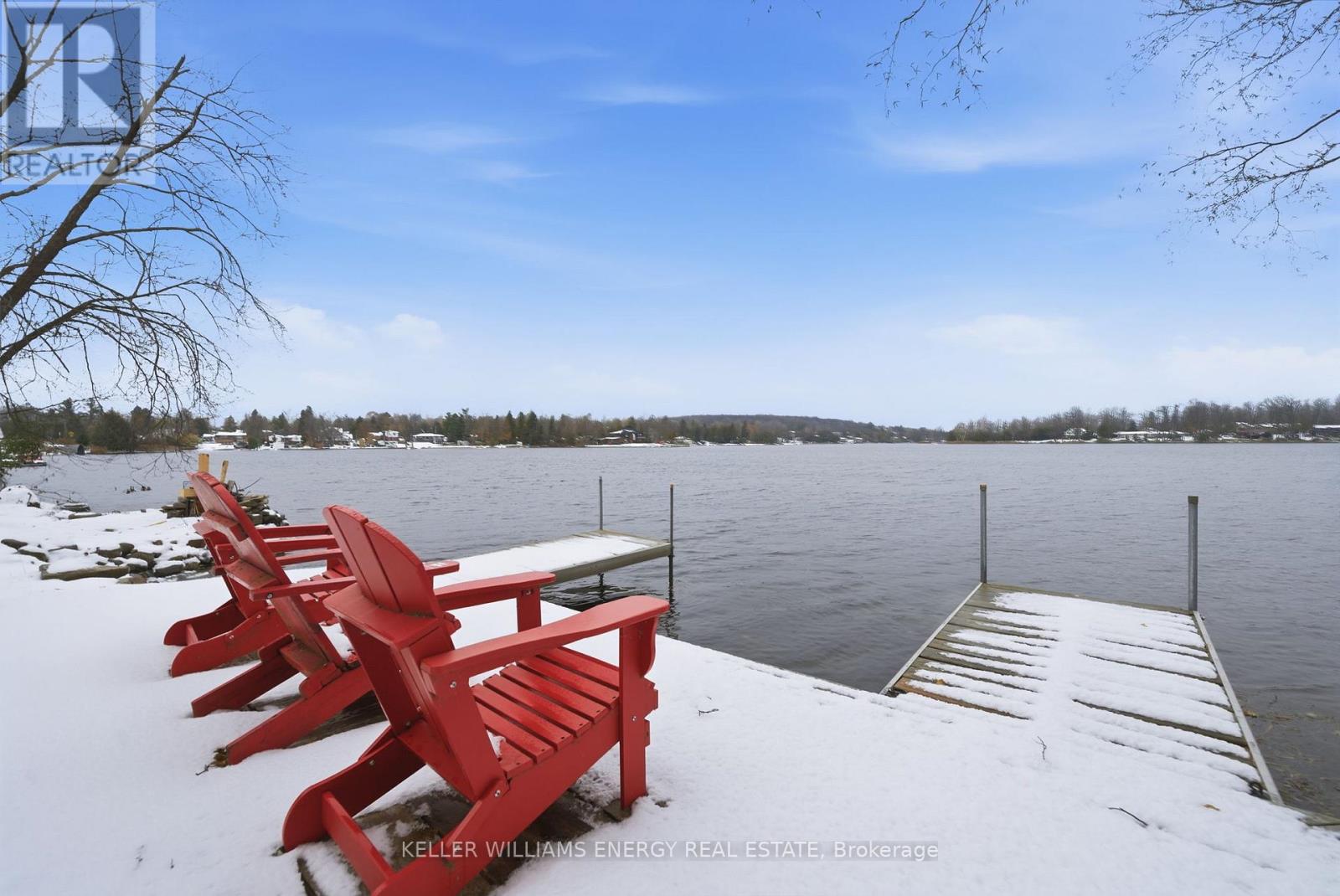 7 Peninsula Drive, Kawartha Lakes (Emily), Ontario  K9J 6X3 - Photo 39 - X12585252