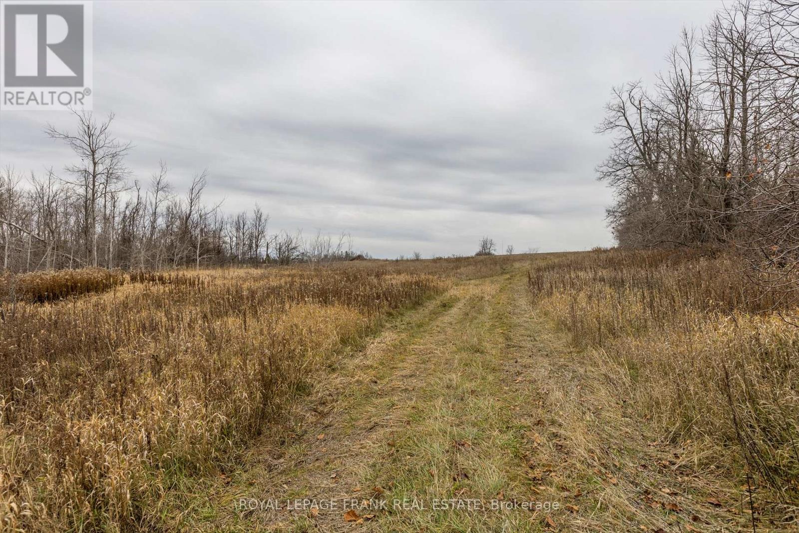 00 7th Line, Douro-Dummer, Ontario  K9J 6Y1 - Photo 16 - X12586018