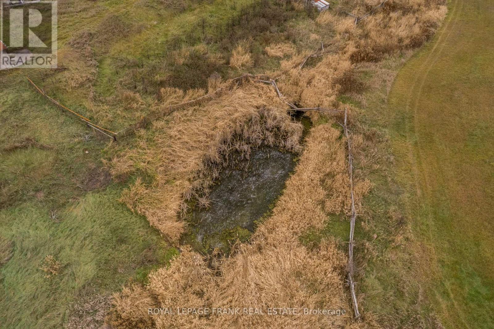 639 County Rd 4, Douro-Dummer, Ontario  K9J 6Y1 - Photo 25 - X12586024