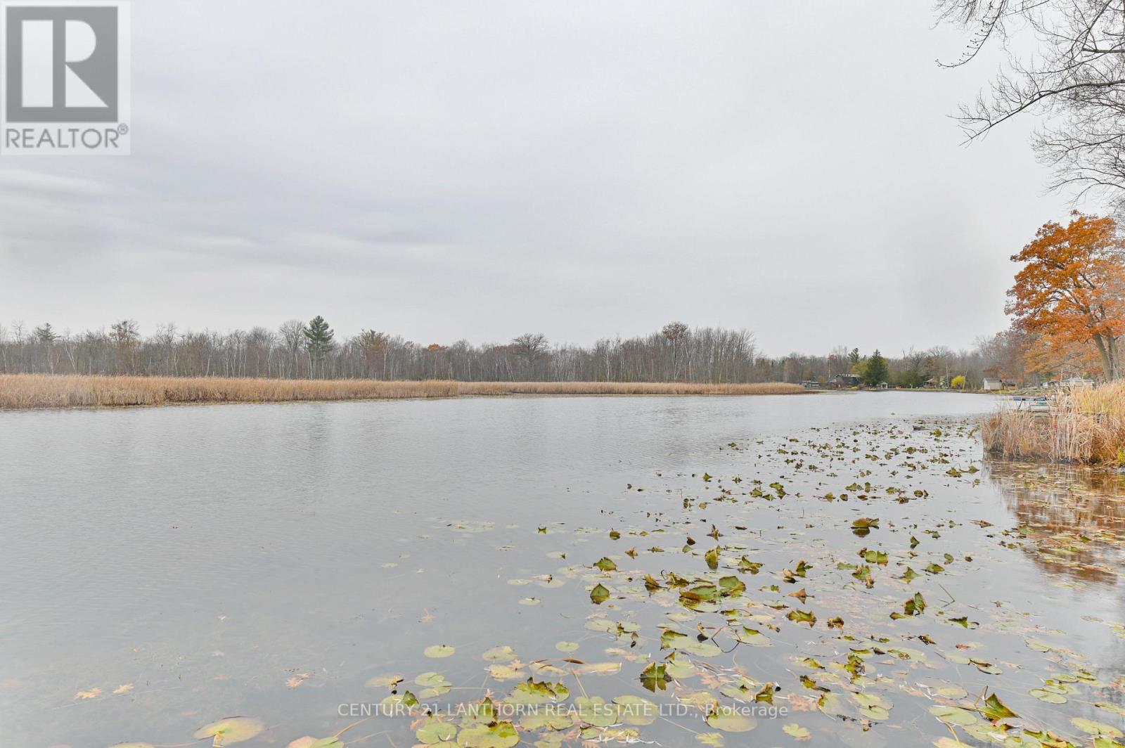 249 River Road E, Trent Hills, Ontario  K0L 1L0 - Photo 30 - X12587574